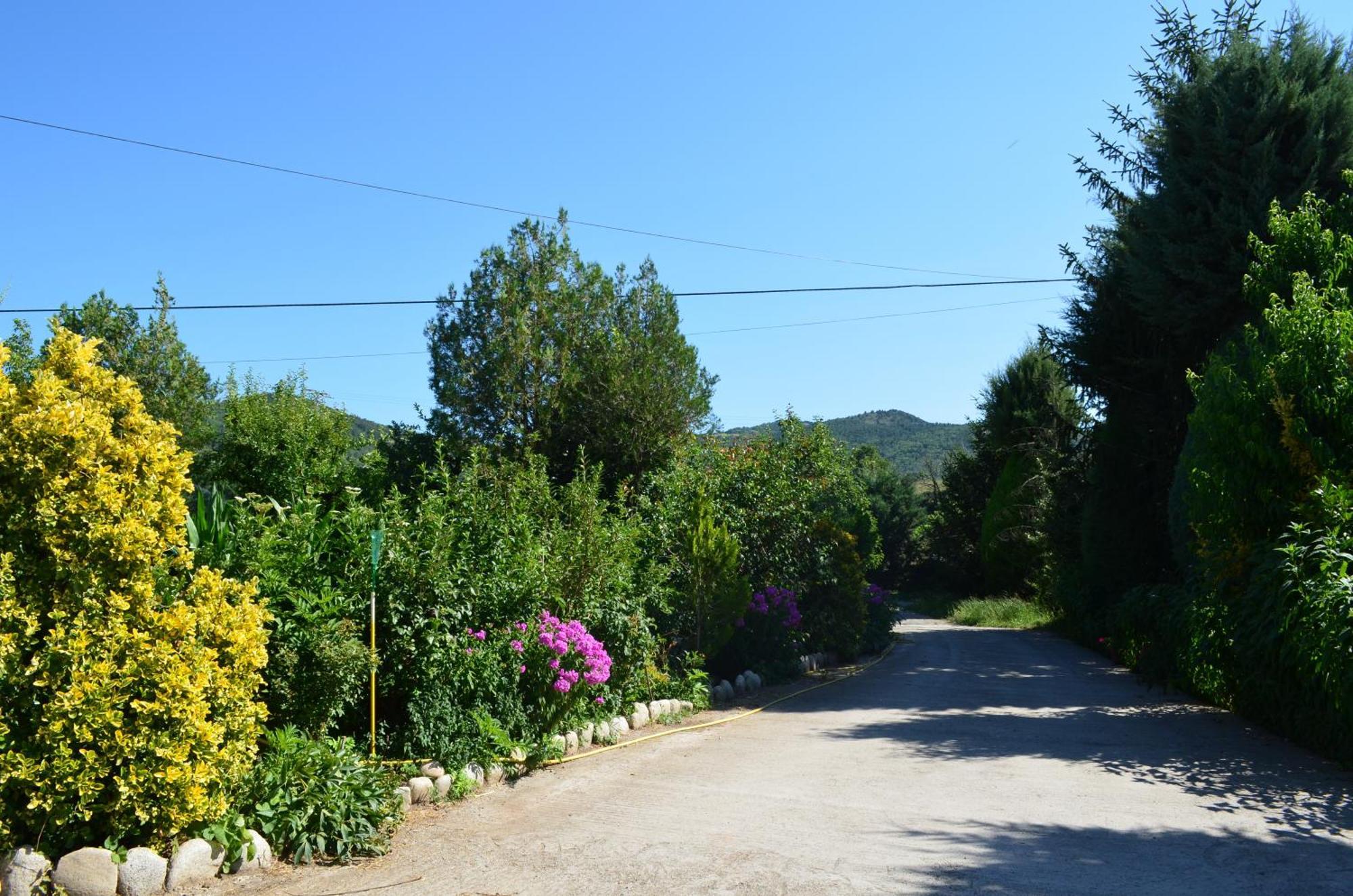 Casa Rural La Vall Del Cadi La Seu d'Urgell Bagian luar foto
